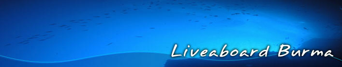 Burma Liveaboard Diving - Macca Tee