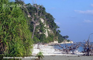 Liveaboard Andaman Islands