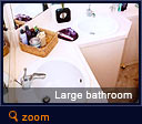 Large Bathroom
